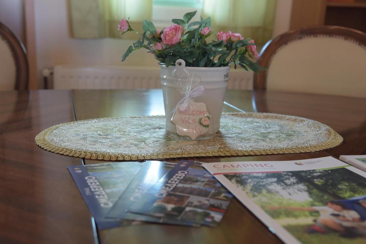 Vila Lily Βίλα Σμεντέρεβο Εξωτερικό φωτογραφία